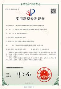 一種用于生物質爐排鍋爐-SNCR-脫硝的噴氨格栅裝置